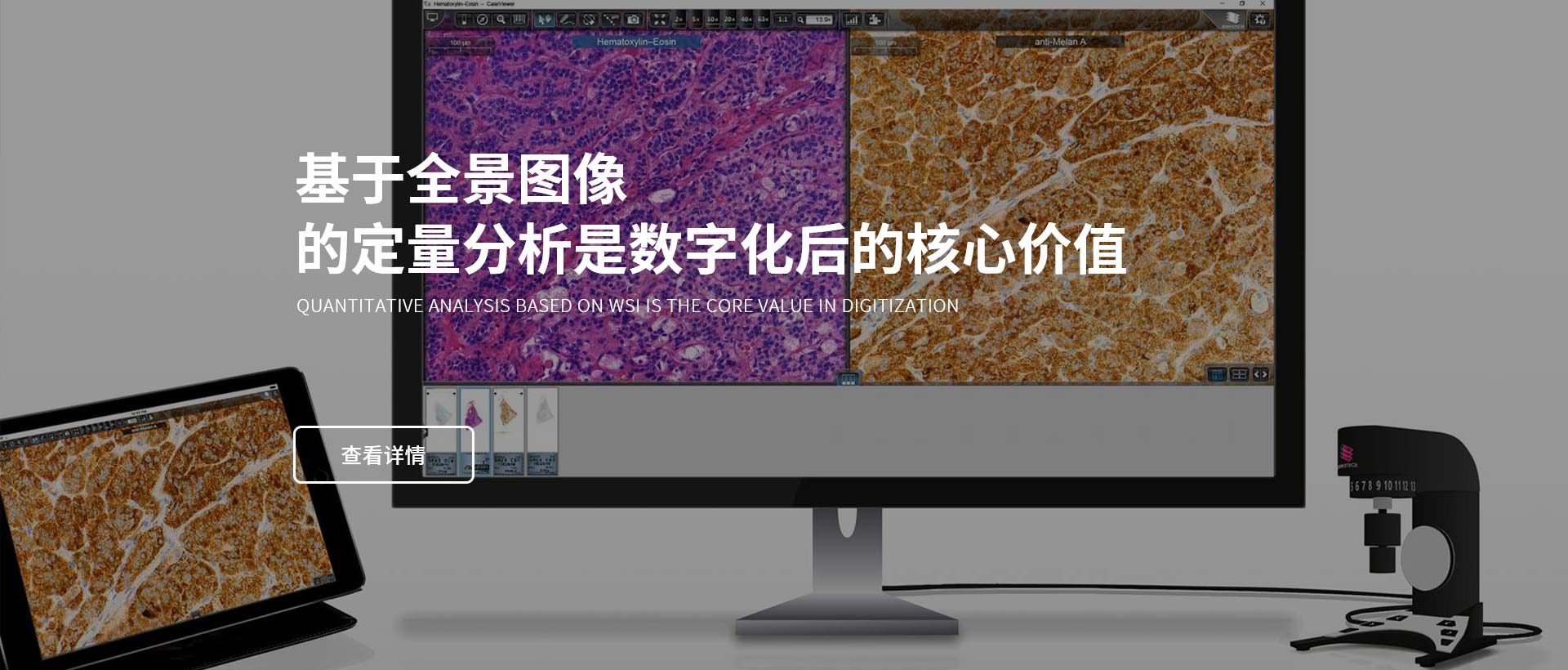 病理圖像分析系統